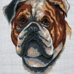 Kanwa z nadrukiem BULDOG (6281)