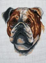 Kanwa z nadrukiem BULDOG (6281)