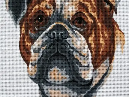 Kanwa z nadrukiem BULDOG (6281)