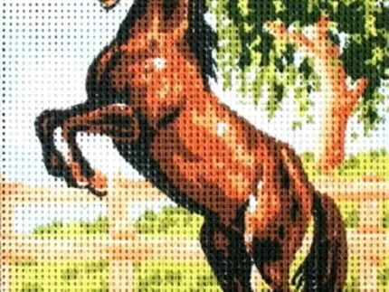 Kanwa z nadrukiem KOŃ (3083)