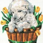 Kanwa z nadrukiem PIESEK (3136)