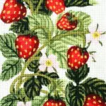 Kanwa z nadrukiem POZIOMKI (3161)