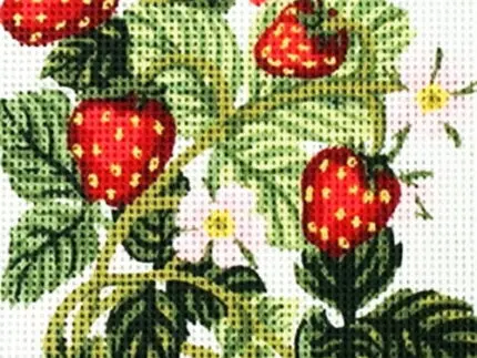 Kanwa z nadrukiem POZIOMKI (3161)