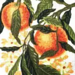 Kanwa z nadrukiem OWOCE BRZOSKWINIE (3163)