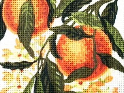 Kanwa z nadrukiem OWOCE BRZOSKWINIE (3163)