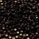 KORALIKI TOHO 8/0 SILVER LINED root beer (2205) 10g