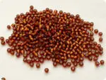 KORALIKI TOHO 8/0 SILVER LINED frosted smoky topaz (34F) 10g