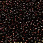 KORALIKI TOHO 11/0 SILVER LINED root beer (2205) 10g