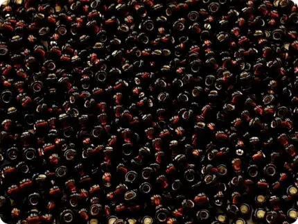 KORALIKI TOHO 11/0 SILVER LINED root beer (2205) 10g