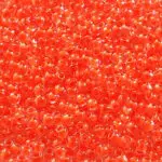 KORALIKI TOHO 11/0 LUMINOUS neon orange (803) 10g