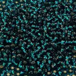 KORALIKI TOHO 11/0 SILVER LINED teal (27BD) 10g