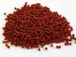 KORALIKI TOHO 11/0 OPAQUE terra cota (46L) 10g