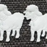 APLIKACJE BARANKI SATYNOWE