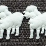 APLIKACJE BARANKI POLAROWE