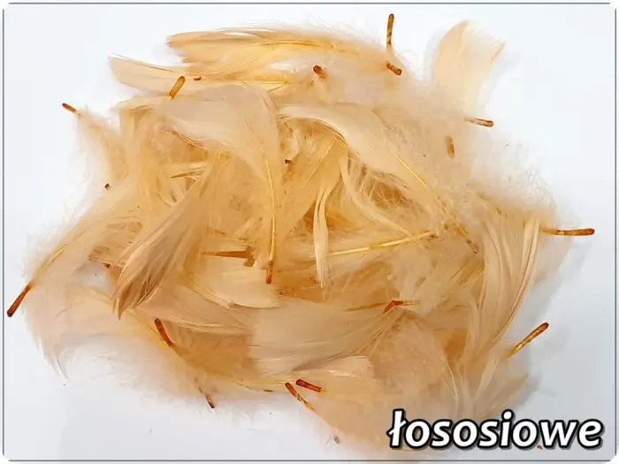 PIÓRKA DEKORACYJNE 150 SZTUK - 10 g