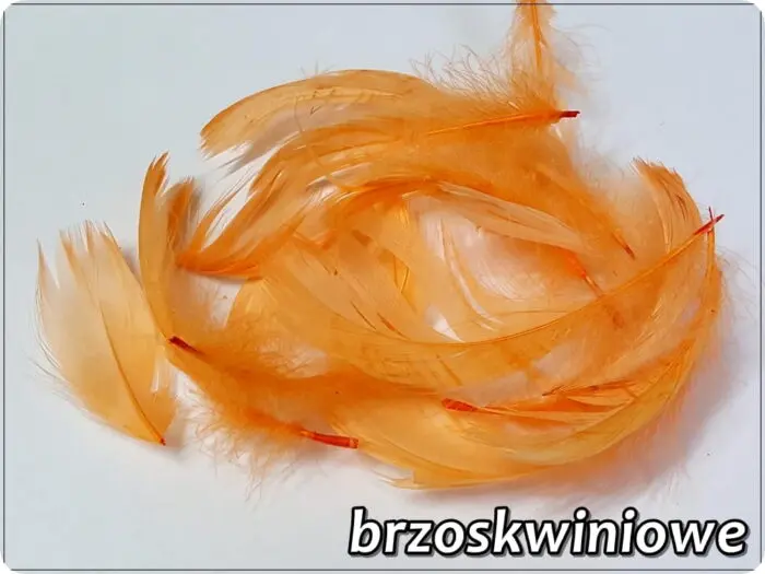 PIÓRKA DEKORACYJNE 150 SZTUK - 10 g