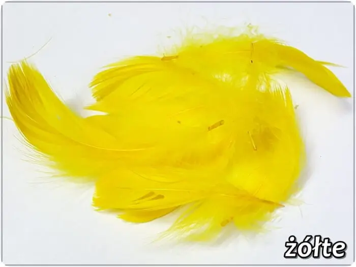 PIÓRKA DEKORACYJNE 150 SZTUK - 10 g