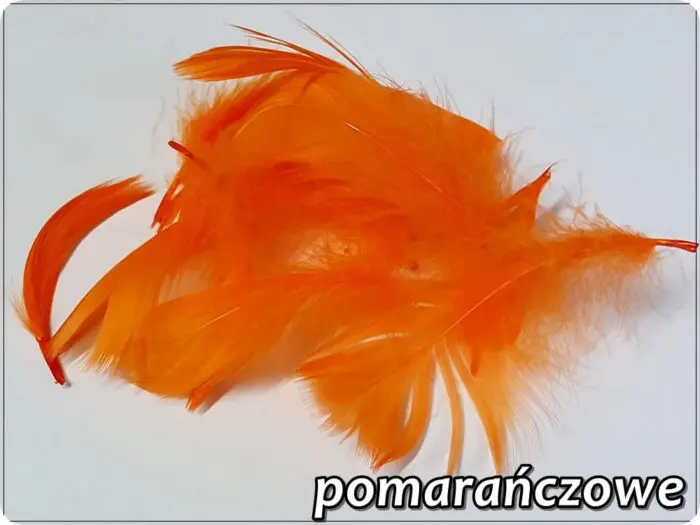 PIÓRKA DEKORACYJNE 150 SZTUK - 10 g