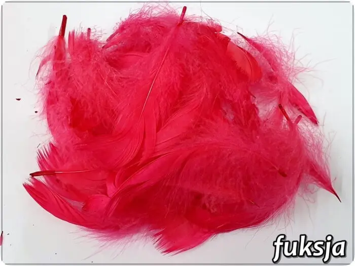 PIÓRKA DEKORACYJNE 150 SZTUK - 10 g