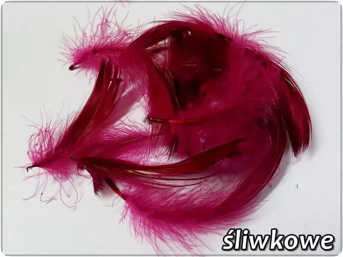 PIÓRKA DEKORACYJNE 150 SZTUK - 10 g