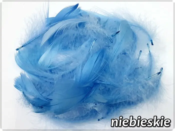 PIÓRKA DEKORACYJNE 150 SZTUK - 10 g