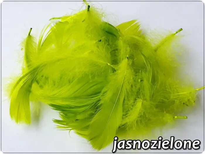 PIÓRKA DEKORACYJNE 150 SZTUK - 10 g