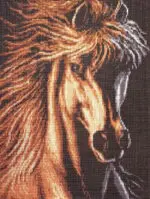 KANWA 30x40 KOŃ (8029)