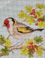 Kanwa z nadrukiem PTASZEK (3316)