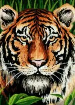 Kanwa z nadrukiem TYGRYS (6253)