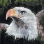 Kanwa z nadrukiem ORZEŁ (6303)