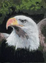 Kanwa z nadrukiem ORZEŁ (6303)