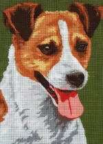 Kanwa z nadrukiem JACK RUSSELL TERRIER (6284)
