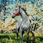 Kanwa z nadrukiem KOŃ (6172)