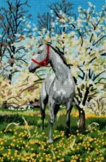 Kanwa z nadrukiem KOŃ (6172)