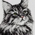 KANWA 24x30 - KOT (6021)