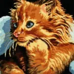 Kanwa z nadrukiem KOT (6229)