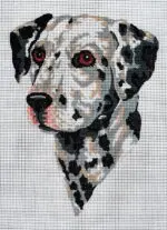 Kanwa z nadrukiem DALMATYŃCZYK (6282)