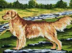 Kanwa z nadrukiem GOLDEN RETRIEVER (6279)