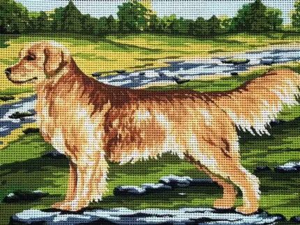 Kanwa z nadrukiem GOLDEN RETRIEVER (6279)