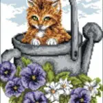 KANWA 24x30 - KOTEK (6006)