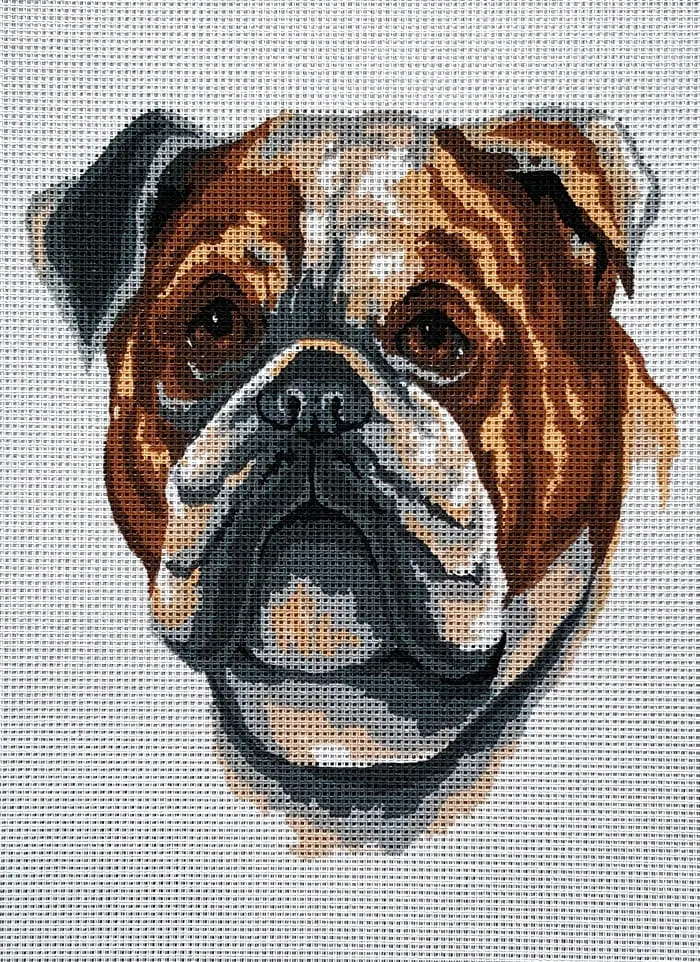 kanwa-z-nadrukiem-buldog-6281 Kanwa z nadrukiem BULDOG (6281)