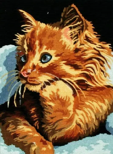 kanwa-z-nadrukiem-kot-6229 Kanwa z nadrukiem KOT (6229)