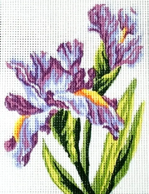 kanwa-z-nadrukiem-kwiaty-3286 Kanwa z nadrukiem KWIATY (3286)