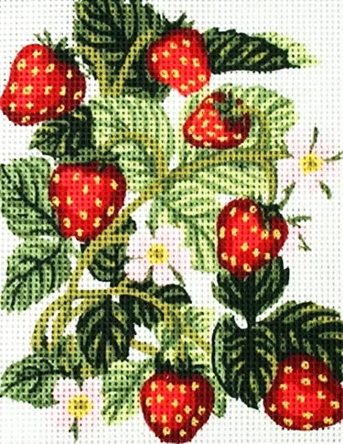 kanwa-z-nadrukiem-poziomki-3161 Kanwa z nadrukiem POZIOMKI (3161)