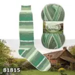 Włóczka skarpetkowa Nako Boho Concept 100g/400m wełna+poliamid - obrazek 4