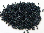 KORALIKI TOHO 11/0 METALLIC cosmos (88) 10g